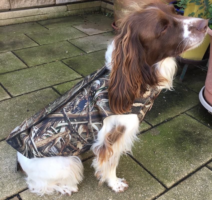 Avery Standard Neoprene 3mm Dog Vest in Blades Medium